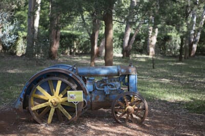 Kenya Nairobi Giraffe Manor family safari