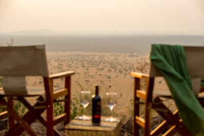 Tanzania Serengeti Kubu Kubu family safari