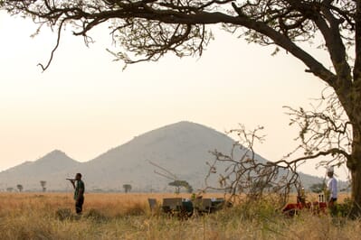 Tanzania Serengeti Kubu Kubu family safari