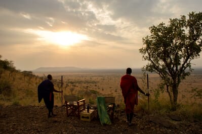 Tanzania Serengeti Kubu Kubu family safari