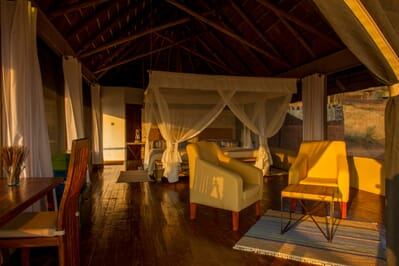 Tanzania Serengeti Kubu Kubu family safari