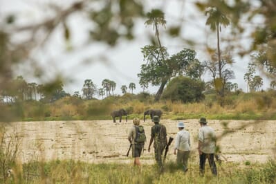 Tanzania Ruaha Jabali house family safari