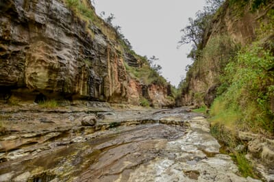 Kenya Lake Naivasha Loldia House family safari