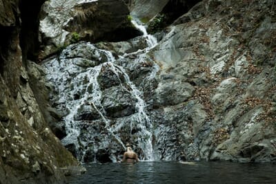 Tanzania Greystoke Mahale family safari