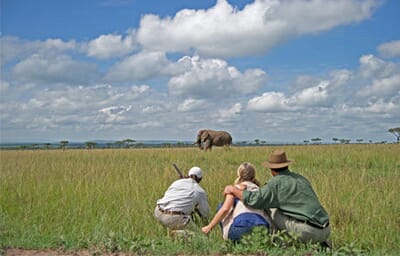 Kenya Masai Mara Sanctuary Olonana family safari