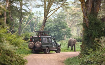 Tanzania Ngorongoro crater lodge family safari