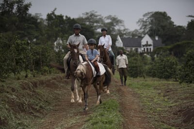 Tanzania Ngorongoro The Manor family safari