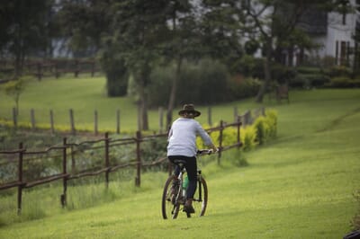 Tanzania Ngorongoro The Manor family safari