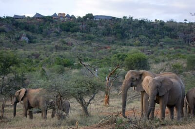 Kenya Laikipia Ol Malo Lodge family safari