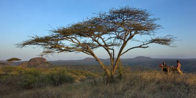 Kenya Laikipia Ol Malo Lodge family safari