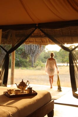 Tanzania Nyerere Siwandu family safari