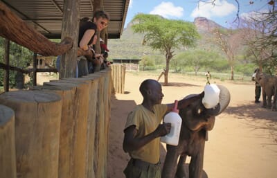 Kenya Laikipia Sarara family safari reteti