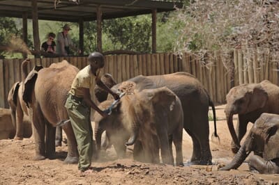 Kenya Laikipia Sarara family safari