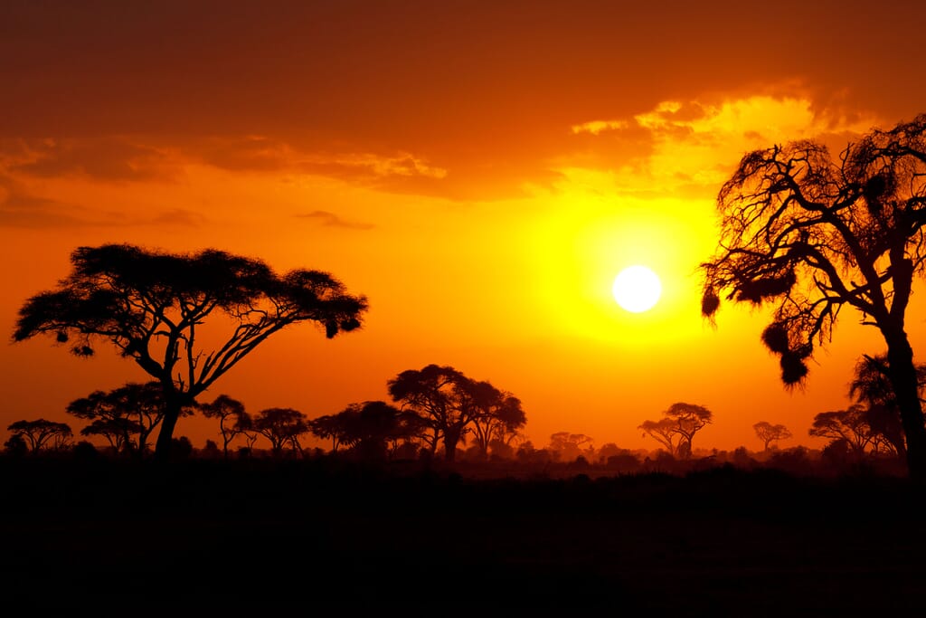 Kenya sunset Masai Mara