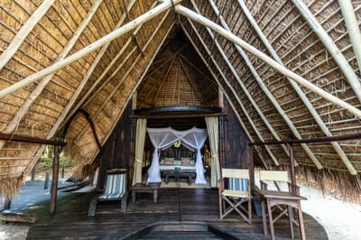 Tanzania Greystoke Mahale family safari