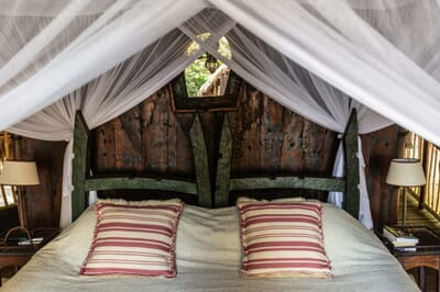 Tanzania Greystoke Mahale family safari