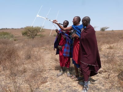 Tanzania Ngorongoro crater lodge family safari