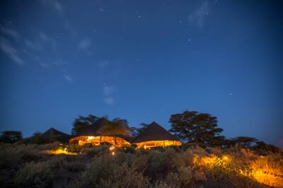 Kenya Amboseli elewana tortillis