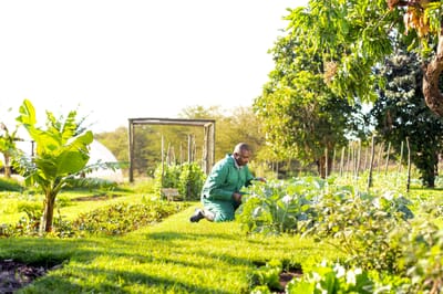 Kenya Lewa Wilderness family safari