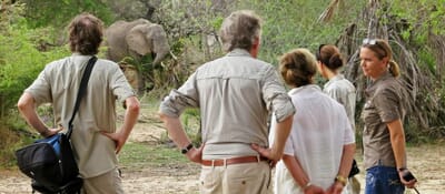 Tanzania Nyerere Siwandu family safari