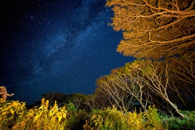 Tanzania Ngorongoro Lemala family safari