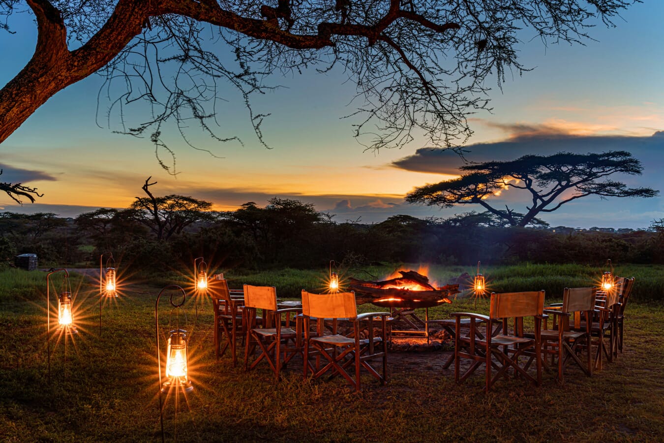 tanzania luxury safari