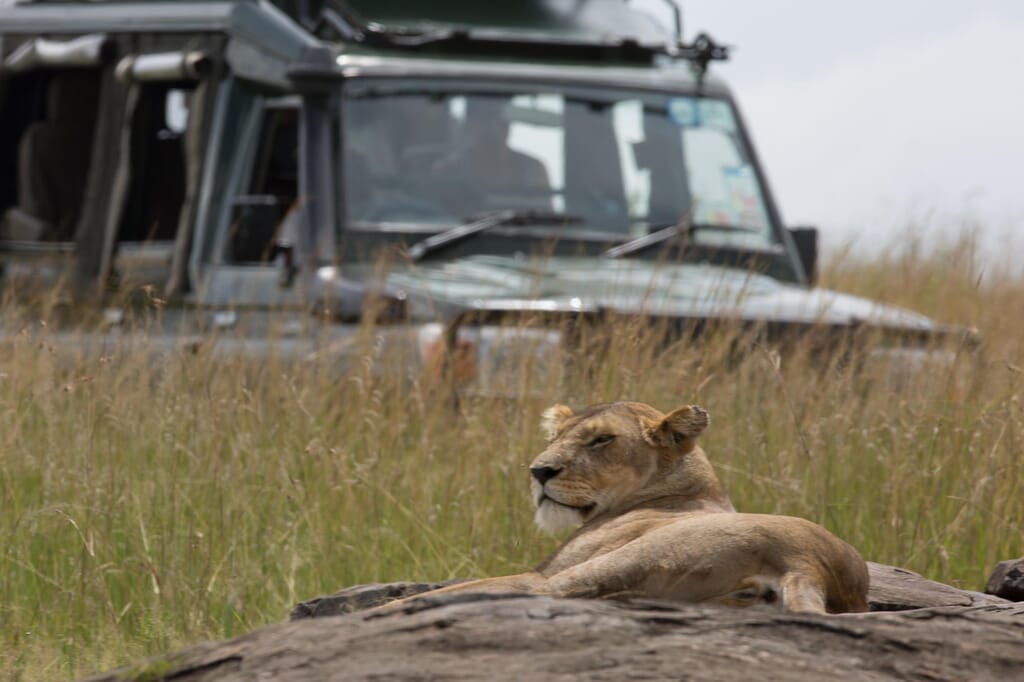 Kenya Masai Mara Elewana Sand River family safari