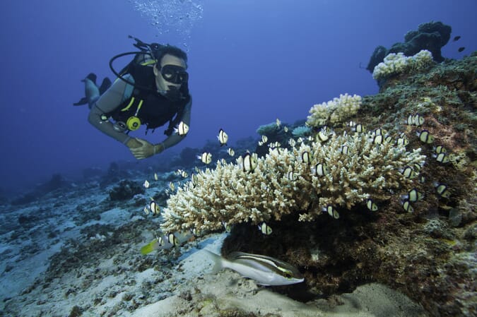 North Island Seychelles SCUBA diving