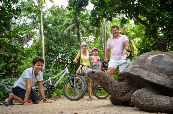 family giant tortoise seychelles