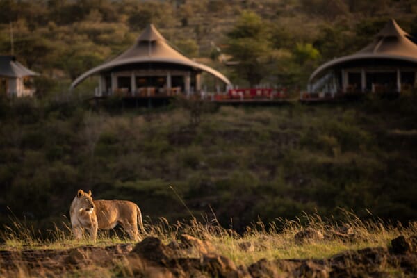 Kenya Masai Mara Mahali Mzuri family safari