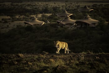 Kenya Masai Mara Mahali Mzuri family safari