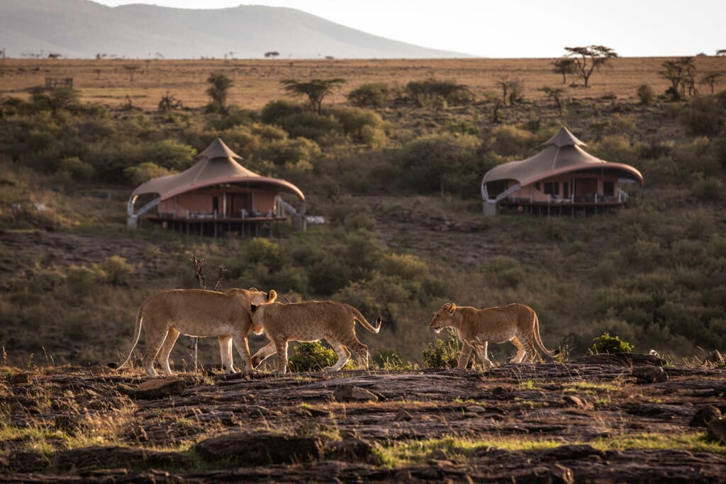 mahali_mzuri_2-7-scaled.jpg?w=1024&h=683&scale