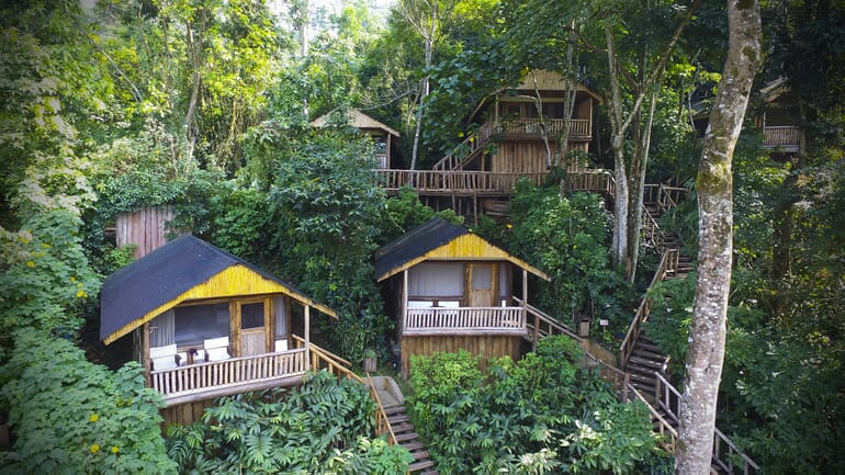 Uganda Buhoma Lodge luxury safari lodges