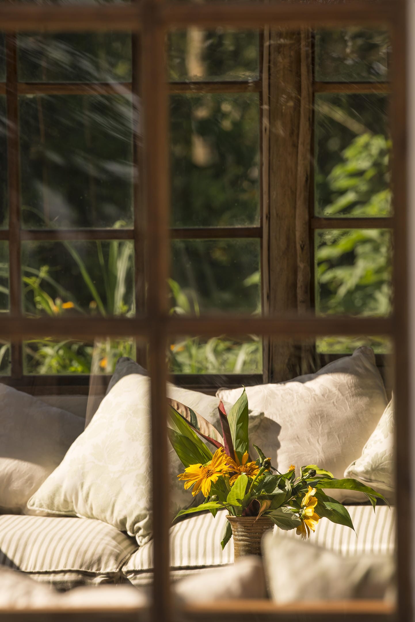 Bwindi Lodge Living Area