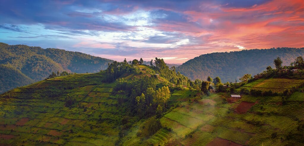 Uganda safari Bwindi Impenetrable Forest panorama sunset
