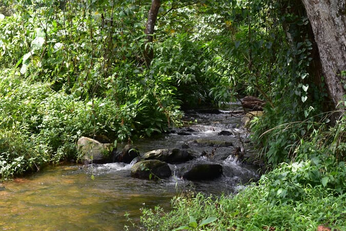 Uganda Bwindi waterfall