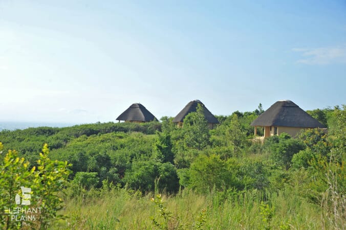 Elephant Plains Lodge