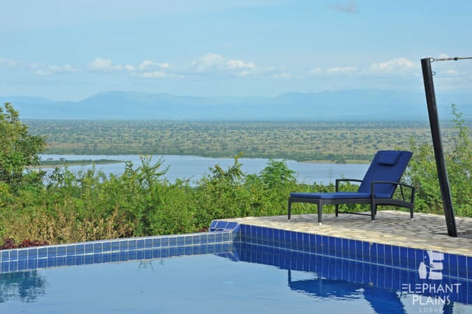 Elephant Plains Lodge pool