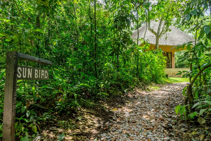 Primate Lodge Kibale Uganda