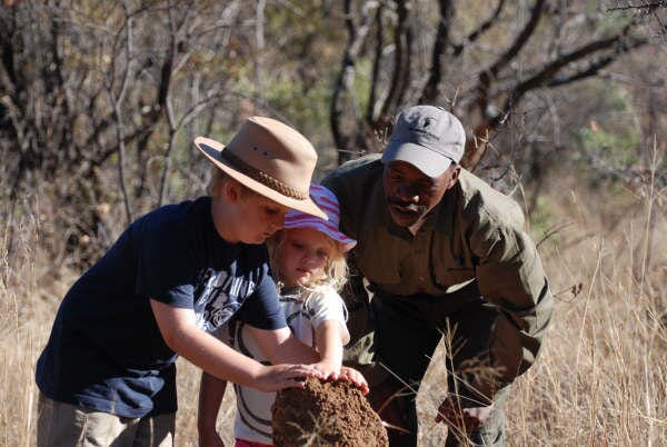 South Africa family safari holiday The Waterberg kids safari ants hill