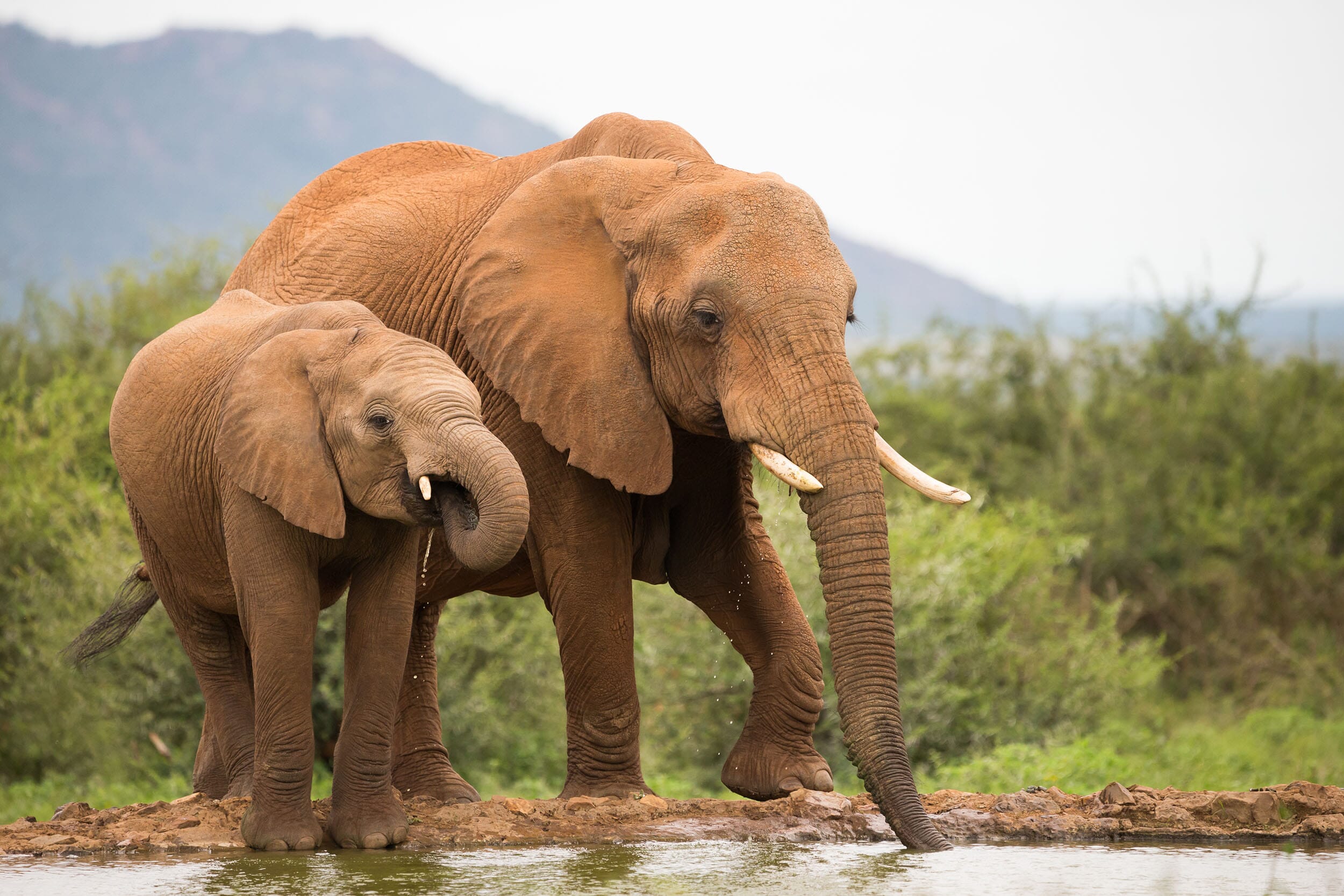 shutterstock_1294063876.jpg?w=1024&h=683&scale