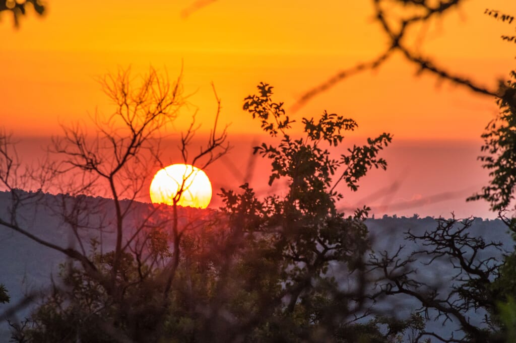 South Africa family safari holiday The Waterberg Welgevonden