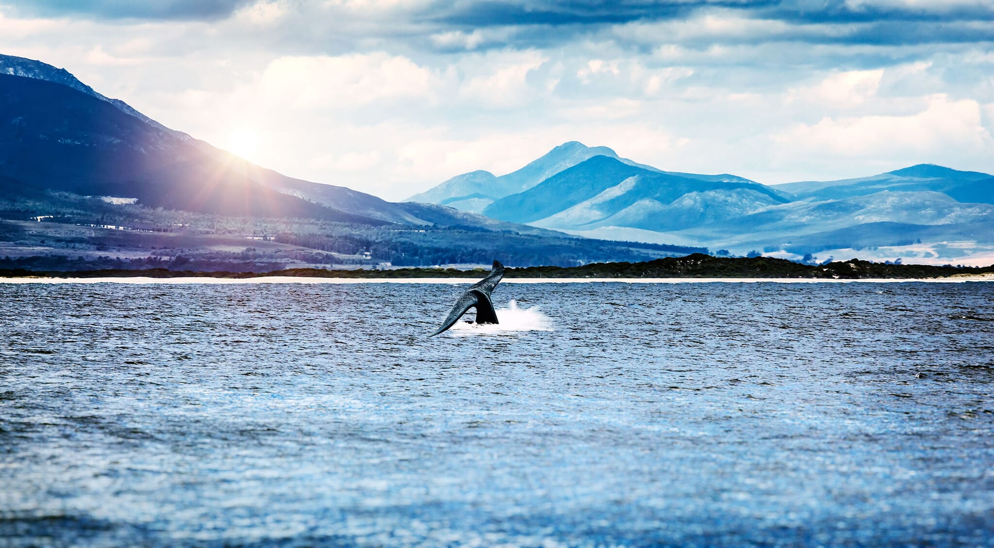 South Africa family safari holiday Garden Route Hermanus whale watching tour