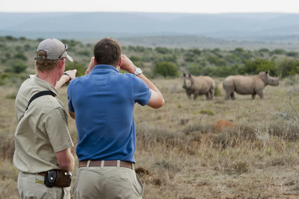 Kwandwe Game Reserve South Africa family safari walking rhino