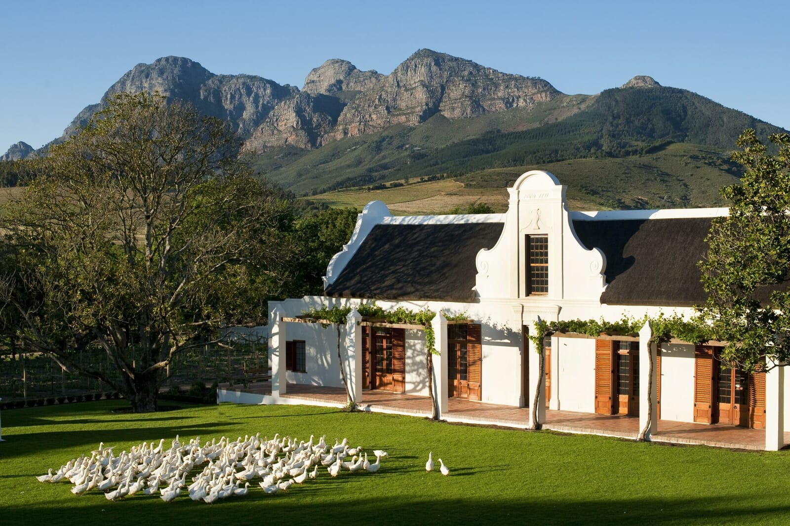 1.18_th_century_babylonstoren_manor_house_working_ducks_simonsberg-scaled