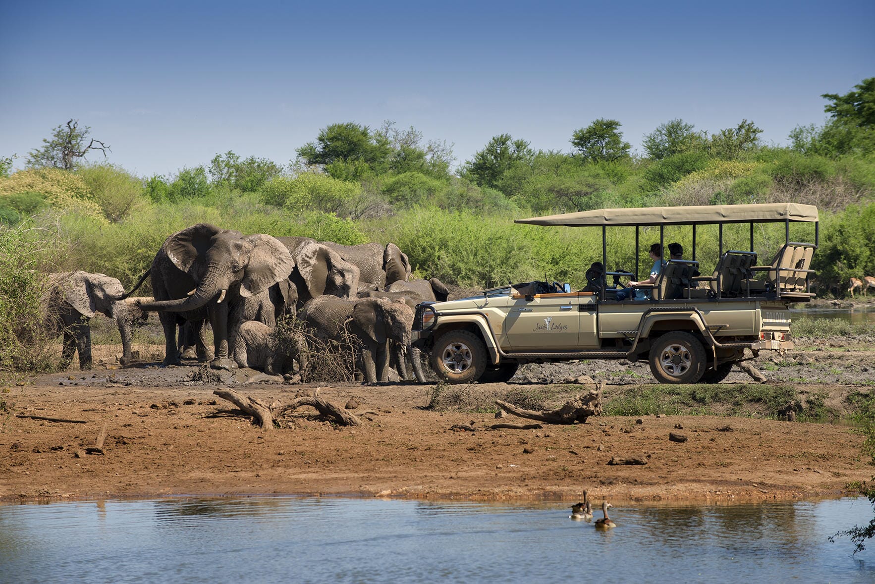 Jaci's Safari Lodge Madikwe Game Reserve South Africa family safari