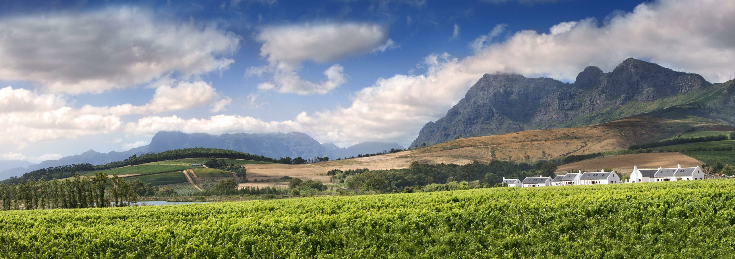 Fynbos-cottages-scaled