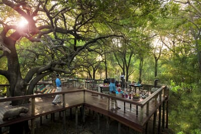 Jaci's Safari Lodge Madikwe Game Reserve South Africa family safari