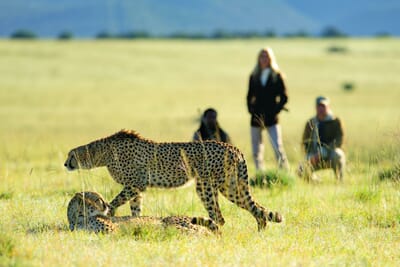 Riverdene Family Safari Lodge Shamwari Game Reserve South Africa