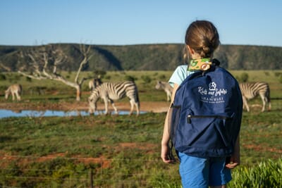 Riverdene Family Safari Lodge Shamwari Game Reserve South Africa